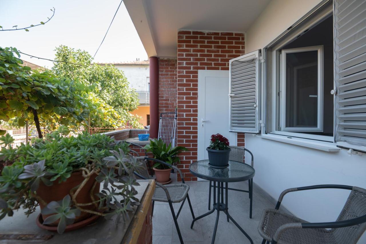 Modern Apartment Edda - Quiet Area - Close To Old Town And Beaches Zadar Bagian luar foto